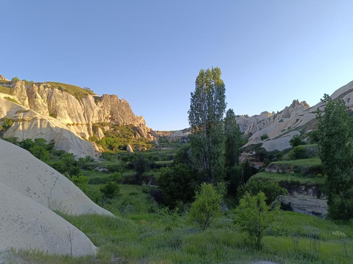 Sah Saray Cave Suites Halal Hotel Göreme Eksteriør billede